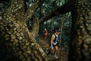 BIB: 
                            <button type="button" onclick="openModal(25670334)" class="btn btn-primary btn-sm float-right btn-popup" data-toggle="modal" data-target=".modal-high-quality">
                        <i class="fas fa-shopping-cart"></i> Add to Cart
                    </button>
                                            <button type="button" onclick="isThisMe(25670334, true)" class="btn btn-success btn-sm float-right btn-popup btn-isme hidden" data-toggle="tooltip" data-placement="bottom" title="นี่คือรูปของคุณใช่ไหม คลิกที่นี่เพื่อเอาเข้าอัลบั้ม">
                        <i class="fas fa-plus"></i> Add to album
                    </button>
                    <button type="button" onclick="isThisMe(25670334, false)" class="btn btn-warning btn-sm float-right btn-popup btn-isnotme hidden">
                        <i class="fas fa-ban"></i> Remove from album
                    </button>